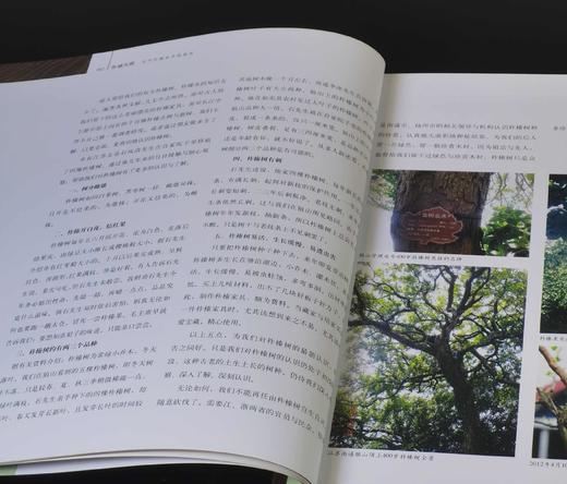 清库！！《柞榛天然：苏作柞榛家具纵横谈》《金丝红豆：楠木红豆杉家具纵横谈》，12开，铜版彩印，阎晓怀著，荣宝斋出版社2012年版，两册总定价446，合售价：118元。 商品图4