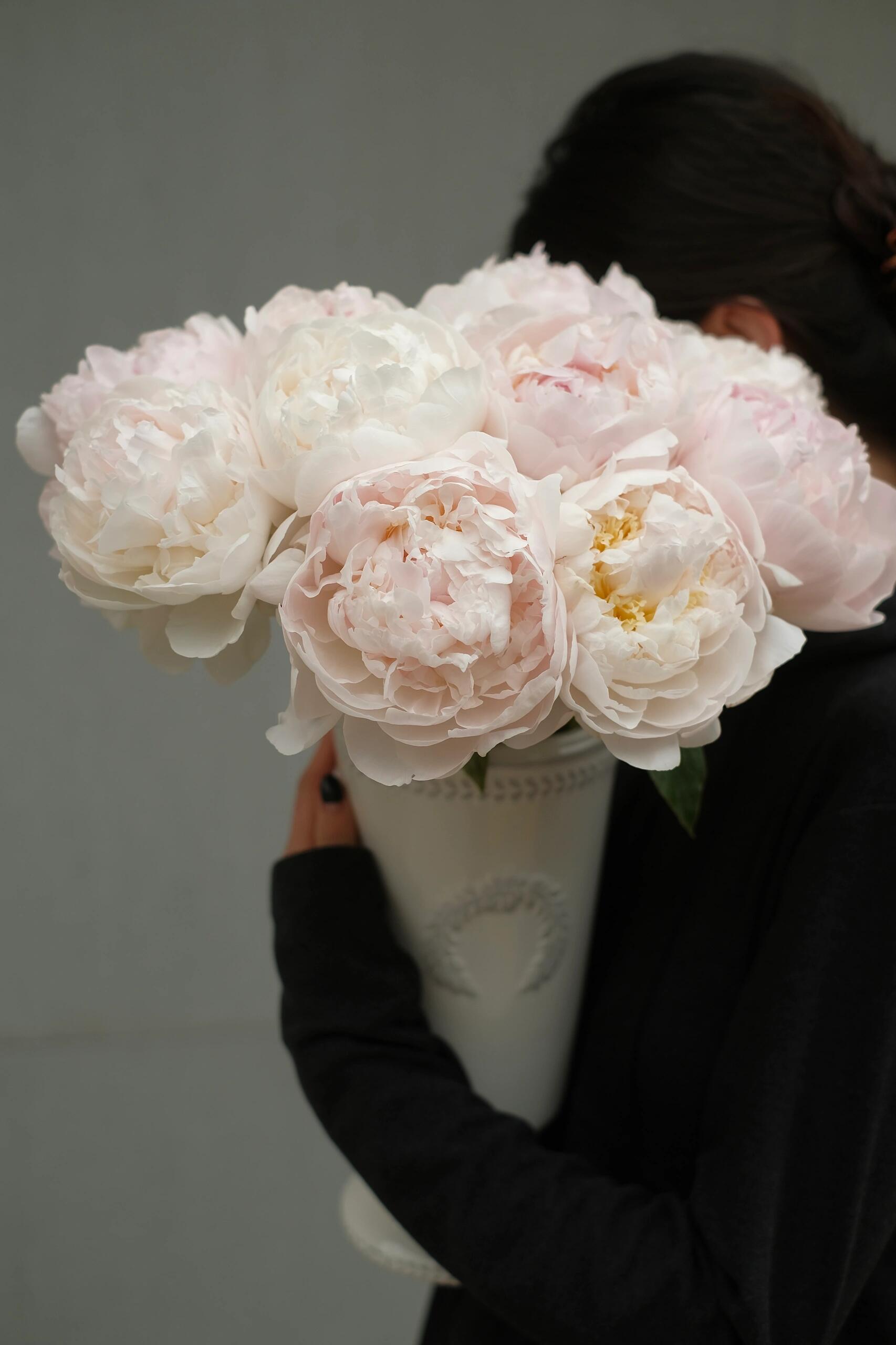 【预售！4.20起陆续发出】羞涩女王【你要有女王范，亦怀揣少女心】简小姐精选 大花头复色进口重瓣 2束包邮 顺丰空运