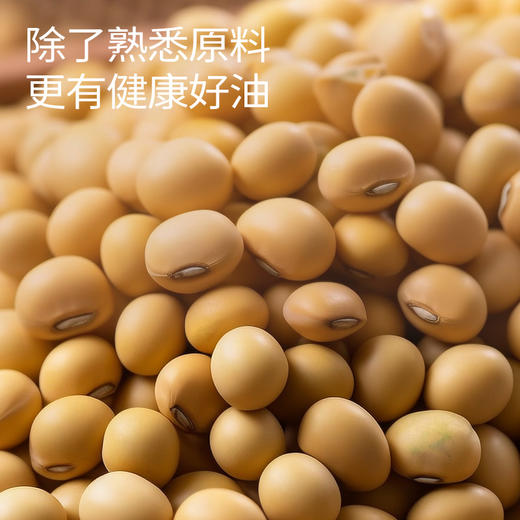 【清心湖❎️松鲜鲜】松茸香菇酱 真材实料0添加 大颗粒香菇 一口超满足 万能拌饭酱 口感咸鲜适中 不挑嘴 拌饭拌面配粥 商品图3