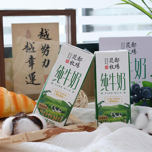 【分销专属】贵州特产山花花都牧场纯牛奶250ml*12盒整箱装 商品图3
