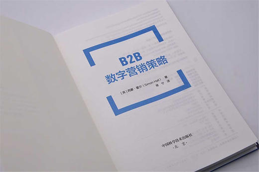 B2B数字营销策略：全链条解析数字营销的实操指南（精装典藏版） 商品图5
