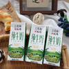 【分销专属】贵州特产山花花都牧场纯牛奶250ml*12盒整箱装 商品缩略图2