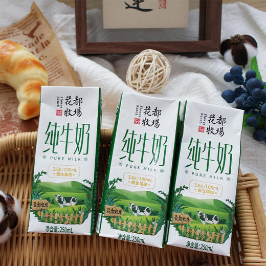 【分销专属】贵州特产山花花都牧场纯牛奶250ml*12盒整箱装 商品图2