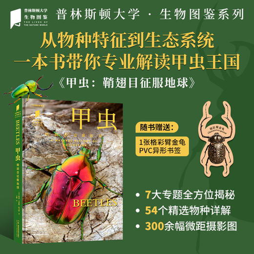 “普林斯顿大学生物图鉴”系列8本：真菌 病毒 飞蛾 甲虫 蝴蝶 鲨鱼 章鱼 海藻 蘑菇 昆虫 海洋水生生物图鉴科普图书 商品图3