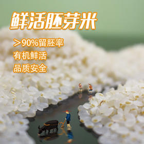 *物元农场双有机胚芽米新米东北粳米熬米油米汤杂粮粥饭胚芽粗粮|新米|全胚芽粳米