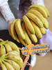【天宝香蕉】正宗现割零添加新鲜当季水果非米蕉芭蕉红蕉 商品缩略图0