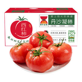 大美疆遇·泾阳普罗旺斯西红柿  多规格可选 顺丰发货