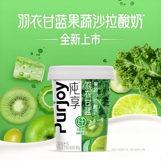 【亚欧超市】君乐宝羽衣甘蓝沙拉酸奶300g/罐 商品图0