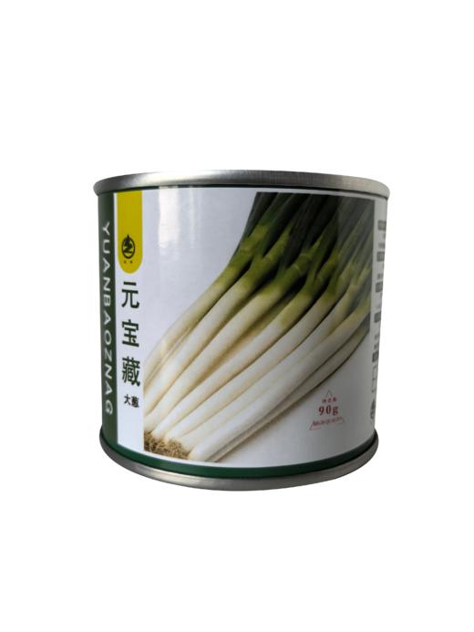 【种子】元宝藏大葱 商品图1