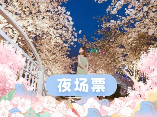 2025夜场单人票39.9（仅17:00-20:00可用） 商品图0