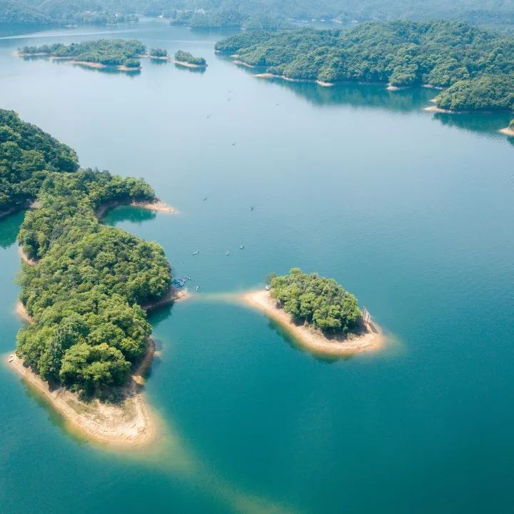 【五一亲子】铁定有票,另辟蹊径省力赏黄山,采猴魁,舟游太平湖,采茶,挖笋,宣纸探秘,漫游桃花潭|5~14岁亲子