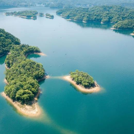 【五一亲子】铁定有票,另辟蹊径省力赏黄山,采猴魁,舟游太平湖,采茶,挖笋,宣纸探秘,漫游桃花潭|5~14岁亲子 商品图0