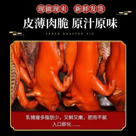 【预售】鸿运烤乳猪约4-4.5斤 (提前2天下单，不可退货) 商品图3