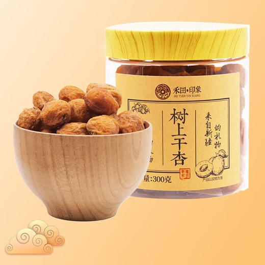 禾田印象·树上杏干 300g  一杏两吃  酸甜软糯 果肉饱满 商品图4
