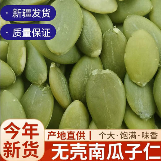 新疆特产生南瓜籽仁基地直邮 商品图0