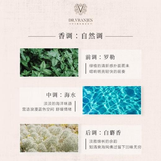 Dr.Vranjes馥意世香薰海岸之水藤条香薰室内香氛海岸之水无火藤条香薰【不支持补差，非质量问题不退不换】S 商品图4