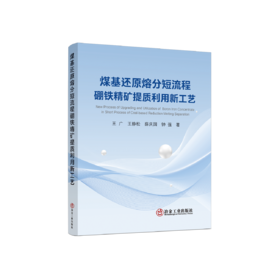 煤基还原熔分短流程硼铁精矿提质利用新工艺