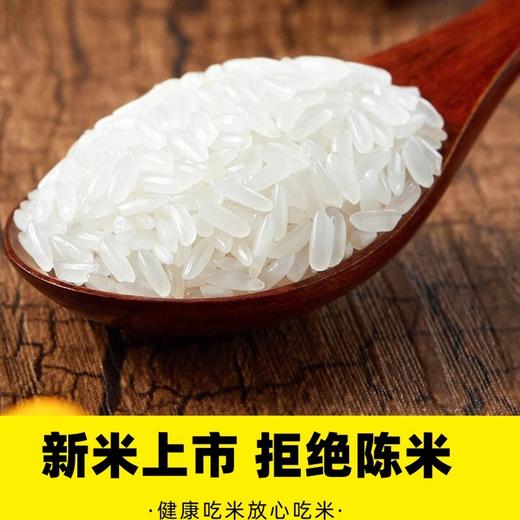 【蓝丽隆定制】新米五常大米俊旺东北黑龙江原粮稻米花香2号农民大米gb19266 商品图2