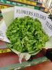 生菜（财）花束 商品缩略图0