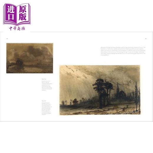 【中商原版】Astonishing Things: The Drawings of Victor Hugo 进口艺术 惊世骇俗 维克多 雨果的绘画 商品图4