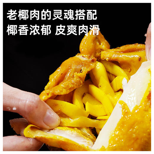 海蓝厨房今晚吃鸡啦 花样吃法【✔️椰子鸡火锅｜✔️盐焗鸡700g*2只 】香喷喷的文昌鸡~顺丰/京东随机发货 商品图6