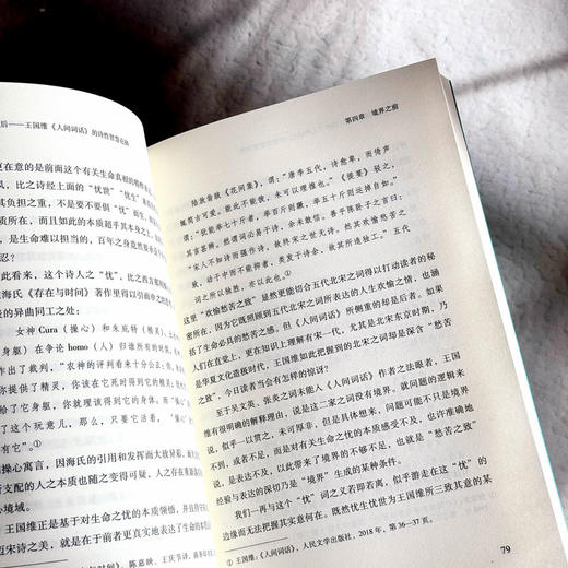 境界及其前后 王国维《人间词话》的诗性智慧论稿 冯尚 商品图11