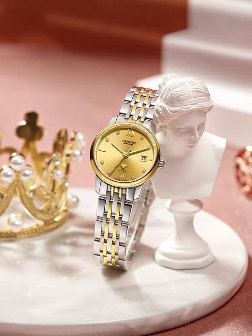 瑞士天珺女士腕表T1069LYYEB 商品图0