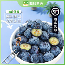 顺丰集团-驿加易选 云南L25品种高级花香蓝莓 现采摘现发货 脆甜 花香味道浓郁 125g/盒