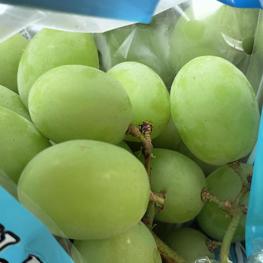 秘鲁甜地球秋天脆青提 商品图1