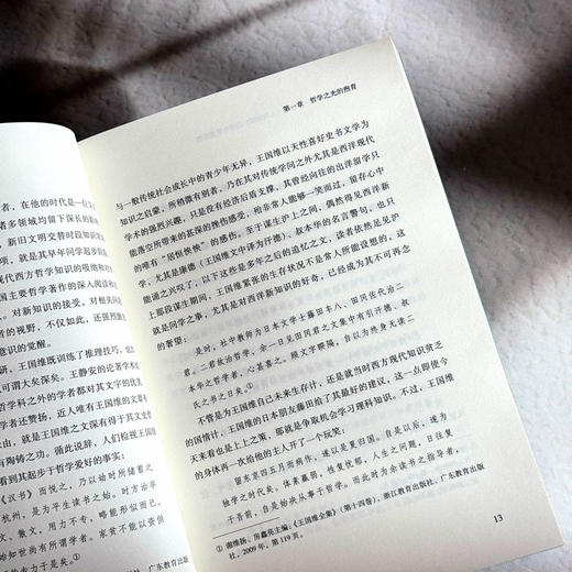 境界及其前后 王国维《人间词话》的诗性智慧论稿 冯尚 商品图8