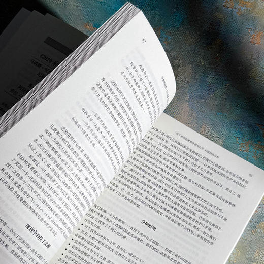 教育展望 185 全纳教育 新发展  新挑战 课程学习与评价的比较研究 商品图9