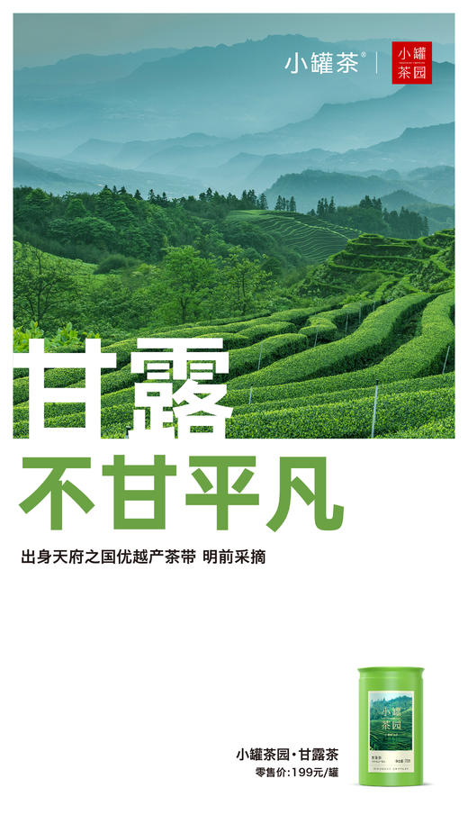 小罐茶园甘露茶2025新茶上市每罐75g搭配手提袋-伴手礼可选 商品图8