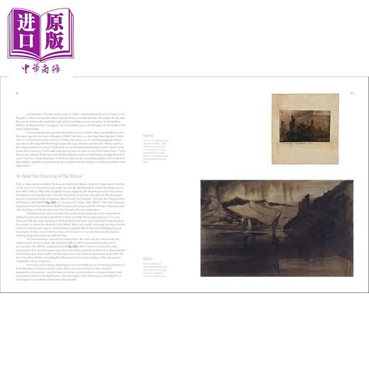 【中商原版】Astonishing Things: The Drawings of Victor Hugo 进口艺术 惊世骇俗 维克多 雨果的绘画 商品图2