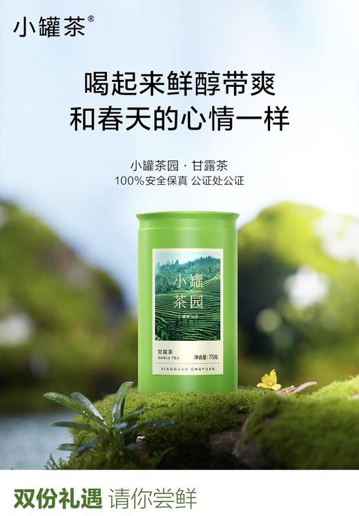 小罐茶园甘露茶2025新茶上市每罐75g搭配手提袋-伴手礼可选 商品图4