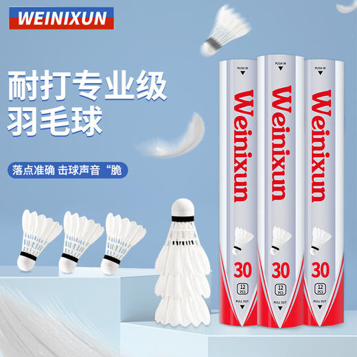 【专业级羽毛球12支装】初级练习娱乐训练球 耐打羽毛球12支装 击球声脆  商品图0