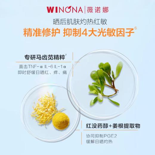 薇诺娜清透防晒乳50g 商品图4