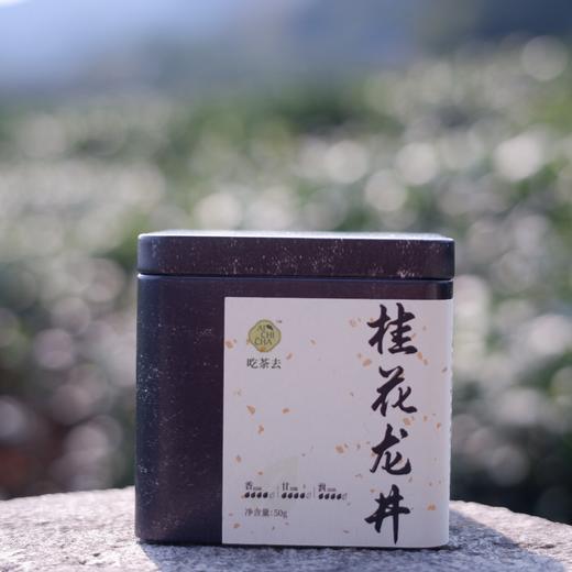 吃茶去龙井茶花茶治愈系列季节限定款桂花龙井茉莉龙井花茶口粮茶50g/罐 商品图1