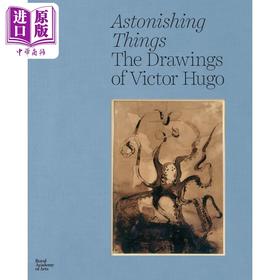 【中商原版】Astonishing Things: The Drawings of Victor Hugo 进口艺术 惊世骇俗 维克多 雨果的绘画