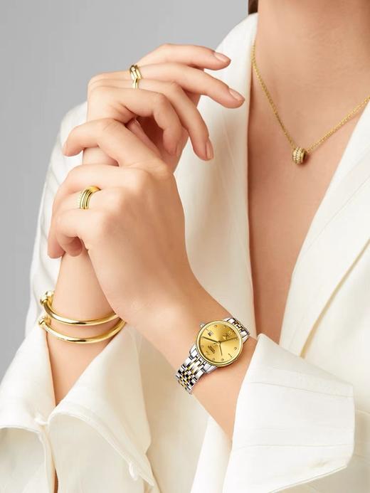 瑞士天珺女士腕表T1069LYYEB 商品图1