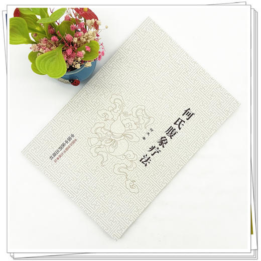 何氏腹象疗法 何龙 著 中国中医药出版社 中医临床 书籍 商品图1