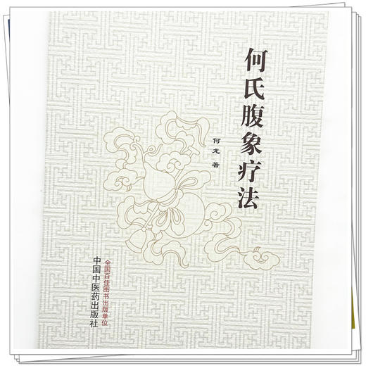 何氏腹象疗法 何龙 著 中国中医药出版社 中医临床 书籍 商品图3