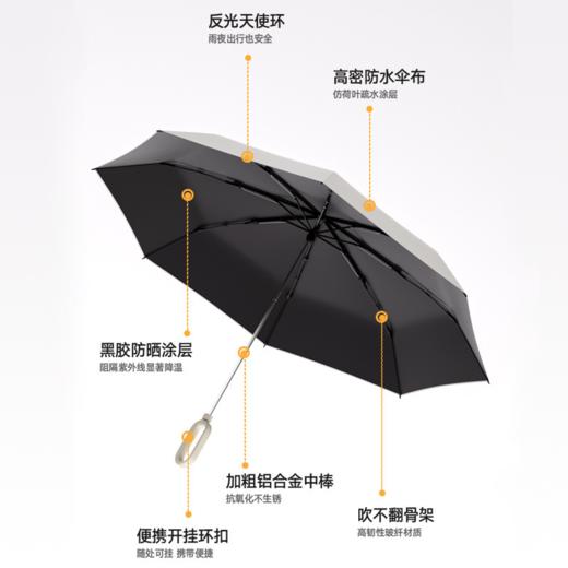【多样屋专柜】城市生活手动环扣雨伞晴雨伞遮阳/SW 商品图2