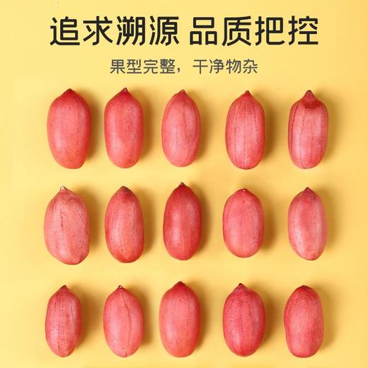富昌花生 500g 商品图2