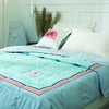 95%鸭绒春夏被 空调间轻保暖 亲肤透气 商品缩略图3