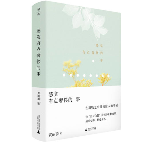 【买即赠限量种子书签】感觉有点奢侈的事     黄丽群  著  文艺  生活、文学、随笔  广西师范大学出版社 商品图4
