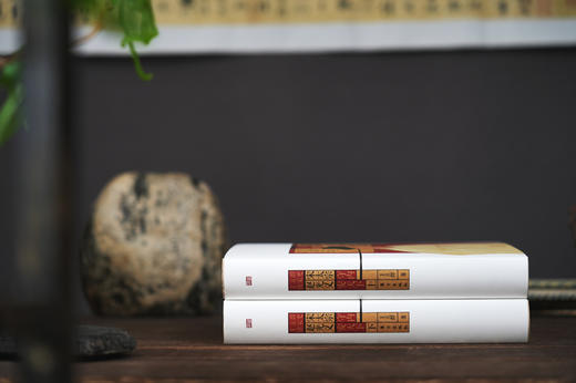 王立群读宋史：宋太宗赵光义 商品图3