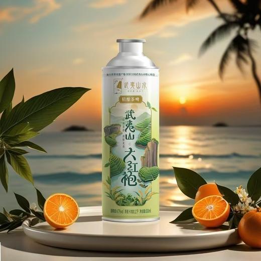 0599【国企严选，山海食材】武夷山水精酿茶啤650g*6瓶/箱 商品图3