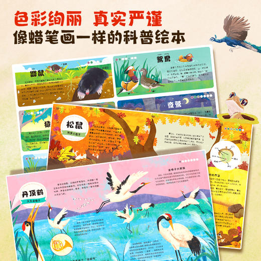 【青葫芦】哇，是课本里的动物呀！ 商品图2