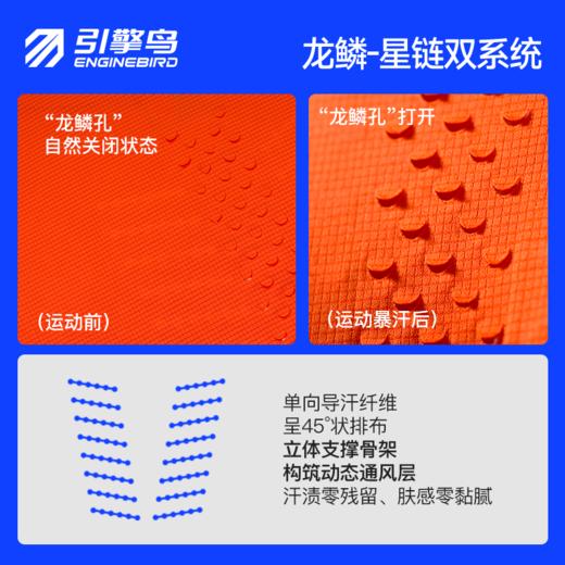 引擎鸟男款龙鳞星链短袖T恤轻薄透气跑步训练健身上衣 商品图2