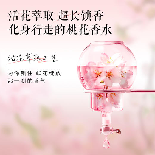 【超值4斤装 加赠香皂2块】拉芳十里桃花沐浴露 持久留香 水润肌肤 1kg*2瓶 商品图4